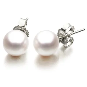 14K White Gold Cultured Pearl Stud 6.50-7mm E002007