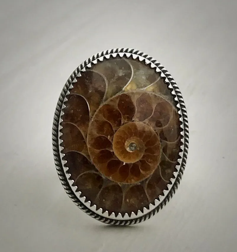 Ammonite Ring