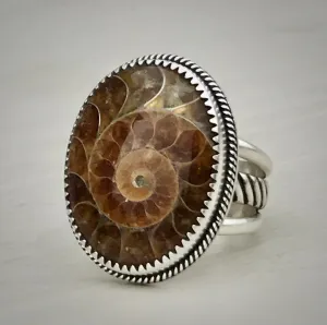 Ammonite Ring