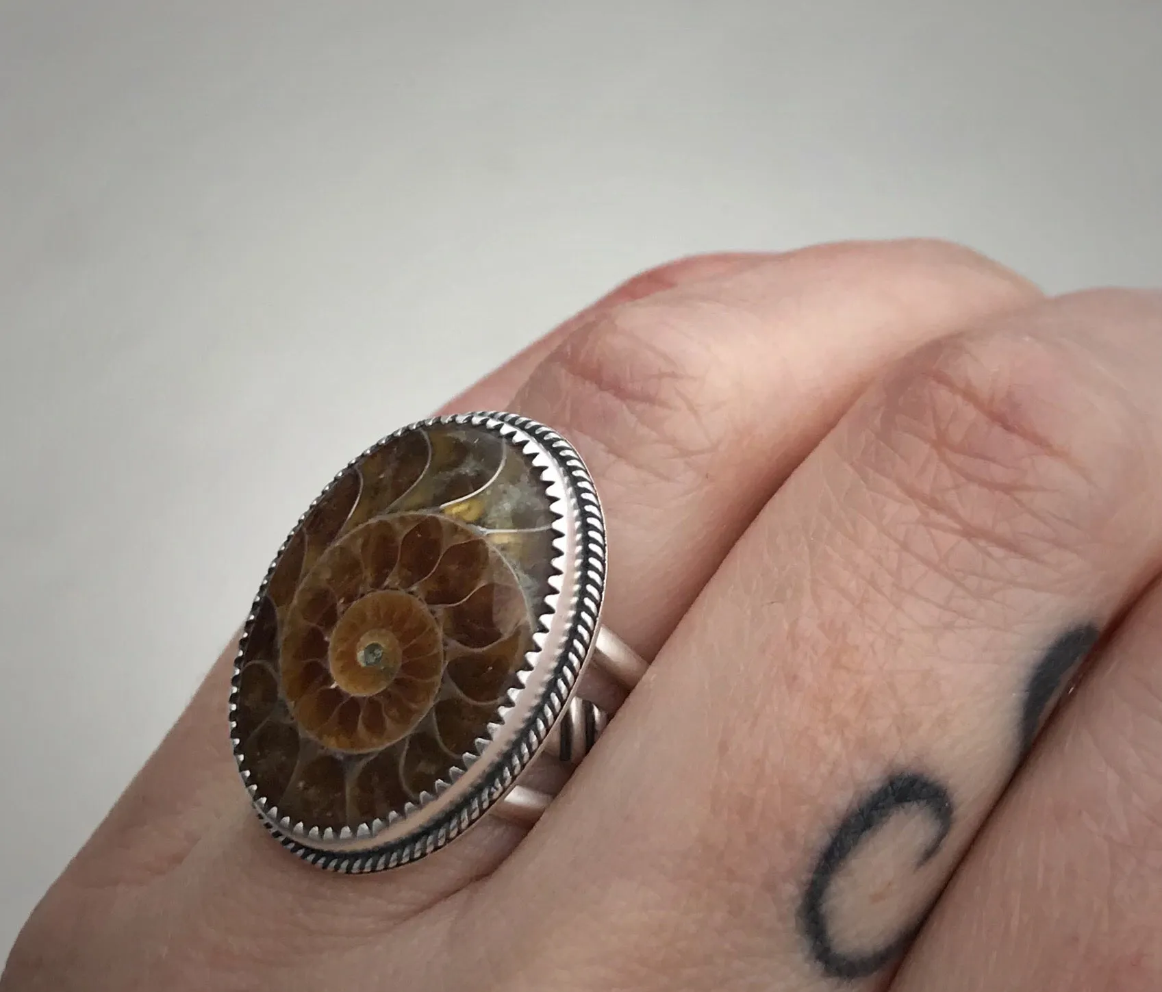 Ammonite Ring