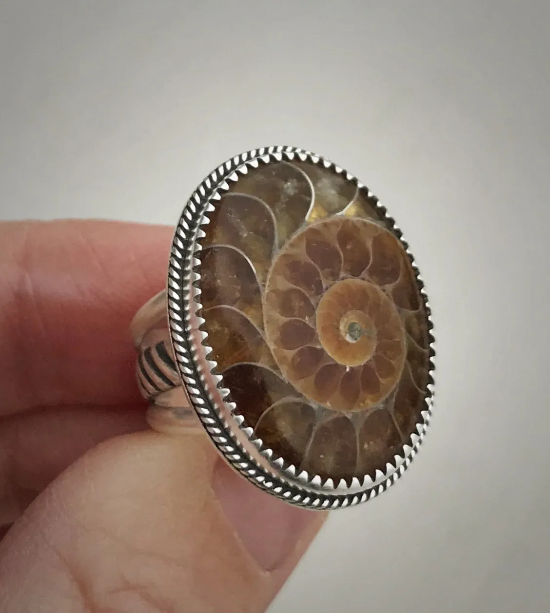 Ammonite Ring