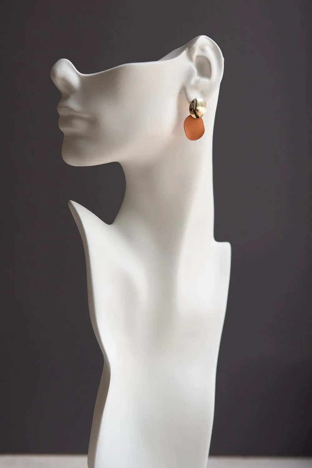 Brown and Gold Disc Earrings