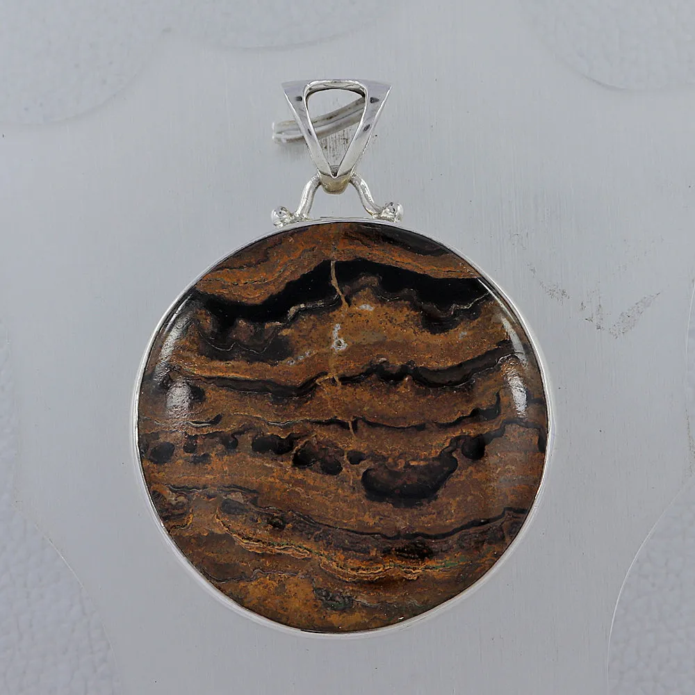 Fossilized Stromatolites Silver Pendant