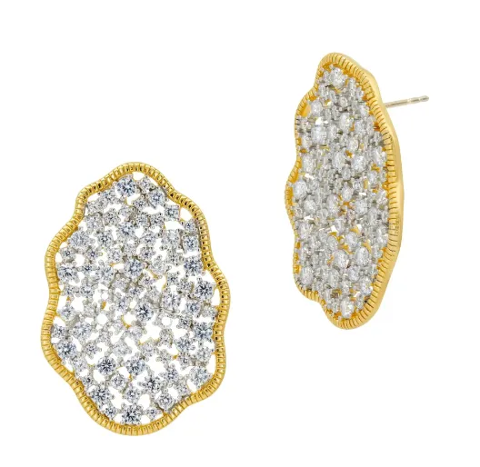 Freida Rothman Shining Hope Statement Earrings