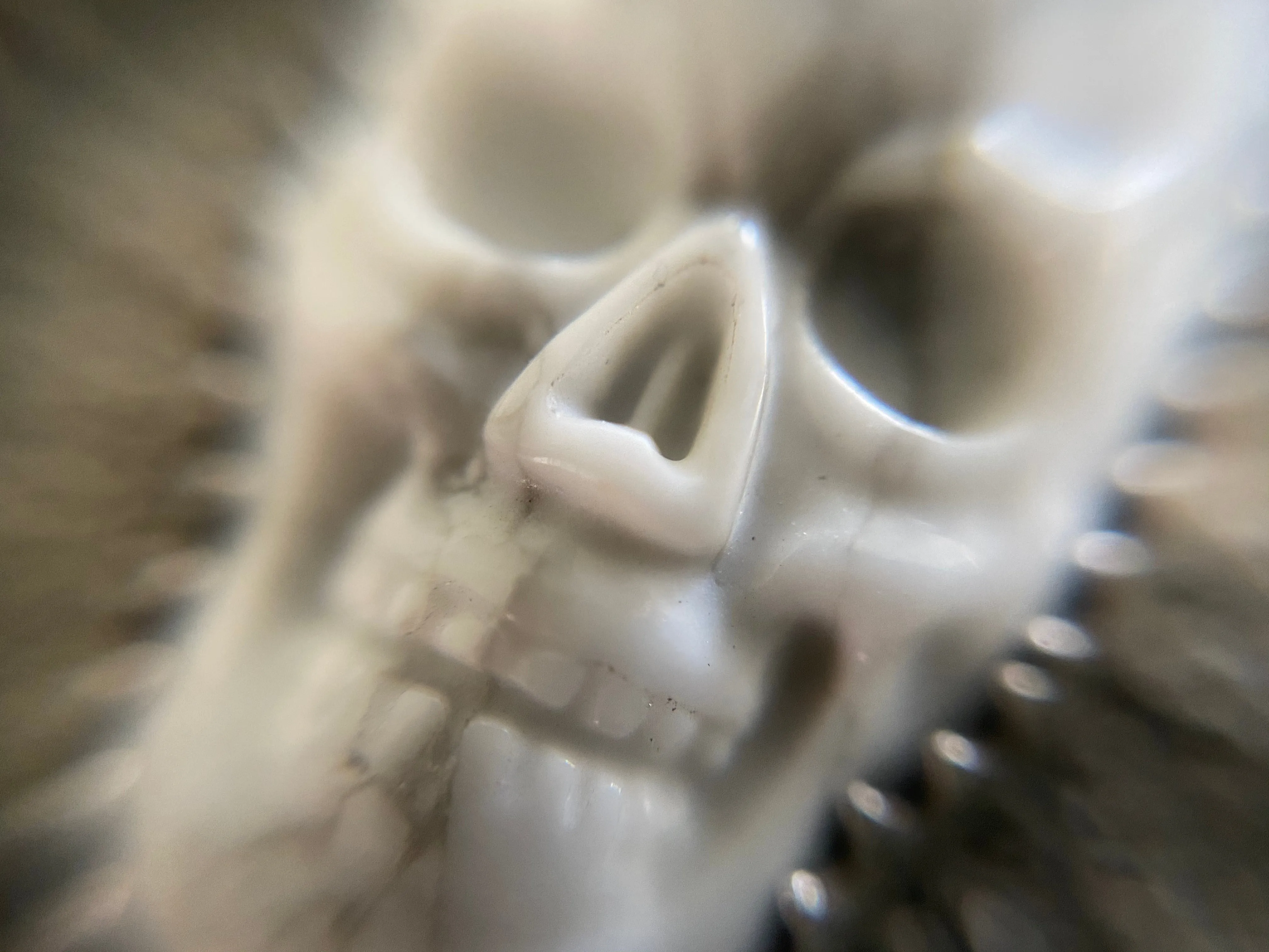 Howlite Skull Shadowbox