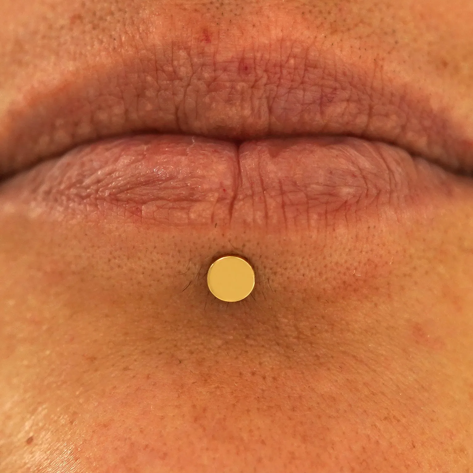 Medium Circle Flatback Piercing