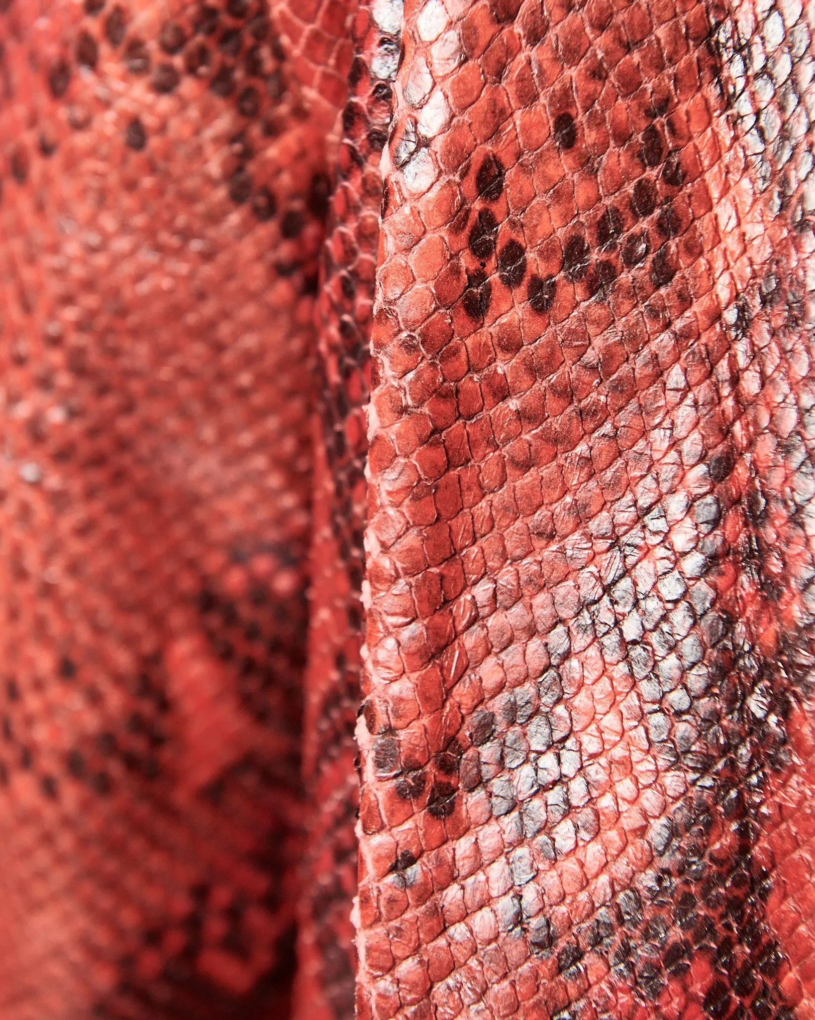 MODERN VICE SNAKESKIN BLAZER JACKET