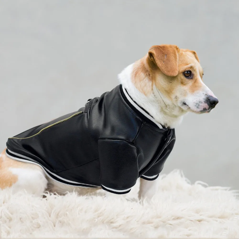 "BAD BULLIE" Leather Dog  Jacket