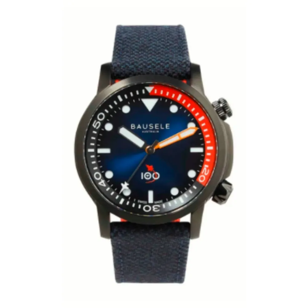 Royal Australian Air Force Centenary 2021 - Aviator