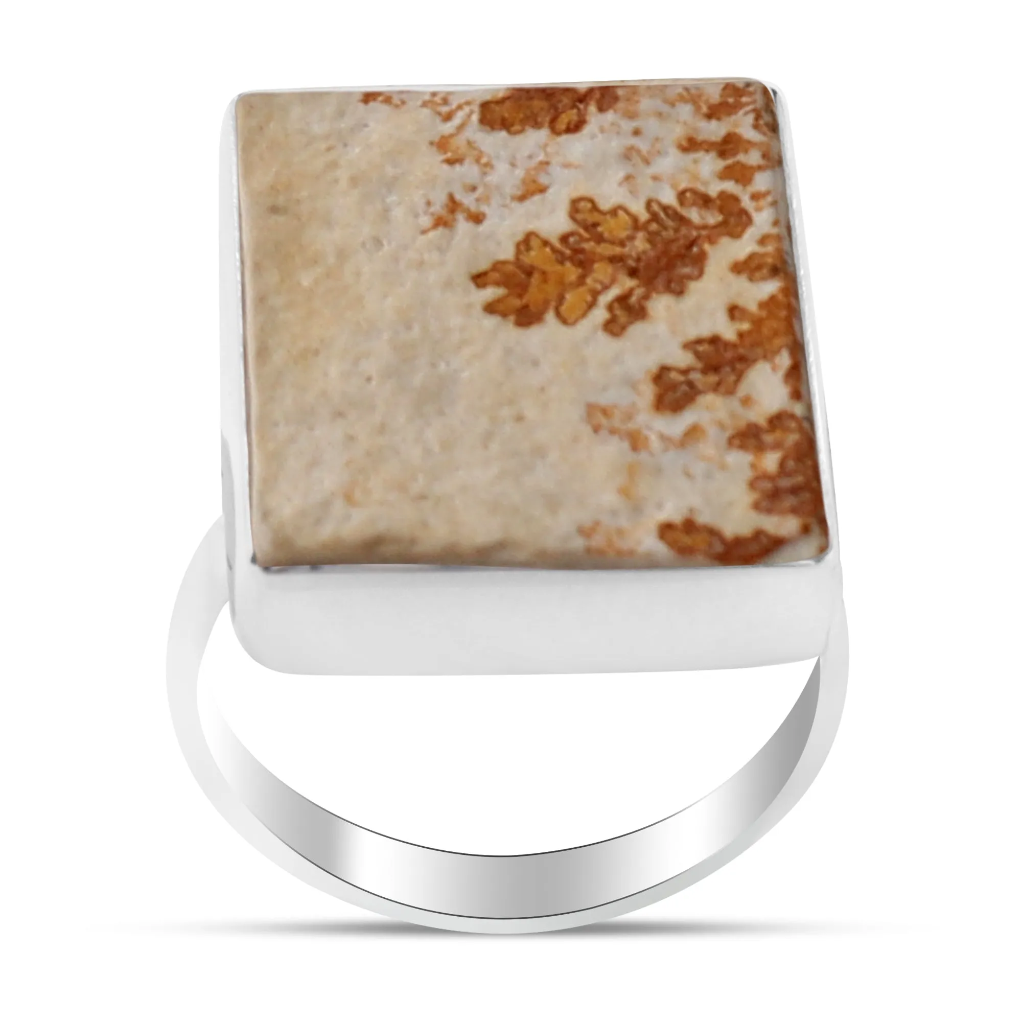 Russian Dendritic Opal Silver Ring